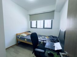 Affinity At Serangoon (D19), Apartment #503211511